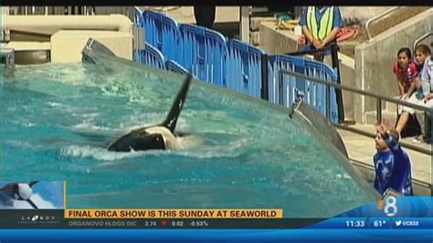 Seaworld orlando trainer killed. Things To Know About Seaworld orlando trainer killed. 